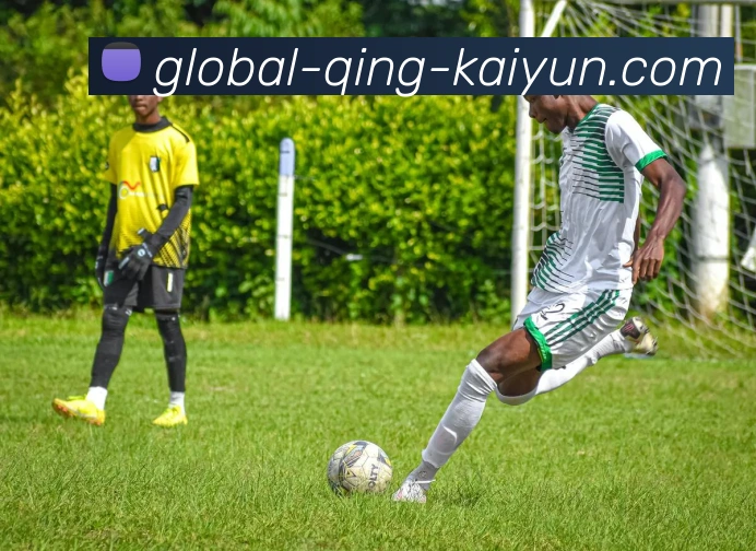 开云APP 高清赛事图